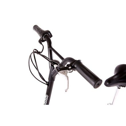 SXT300 Elektroroller 24V 300W - 20 km/h Escooter Elektroscooter E-Scooter schwarz