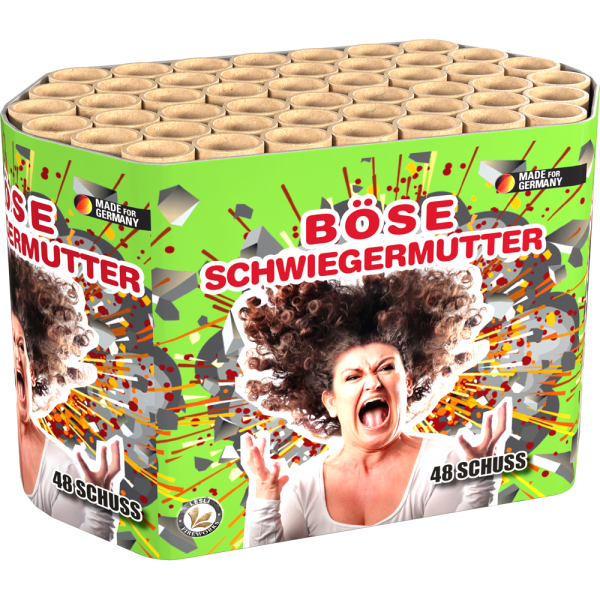 Lesli B&ouml;se Schwiegermutter