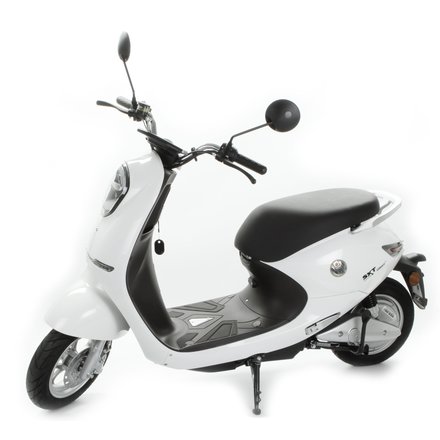 SXT Gekko V3