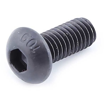 SXT Schraube M6 x 14 mm passend fr Modell SXT Buddy V2 und SXT Buddy V2 eKFV